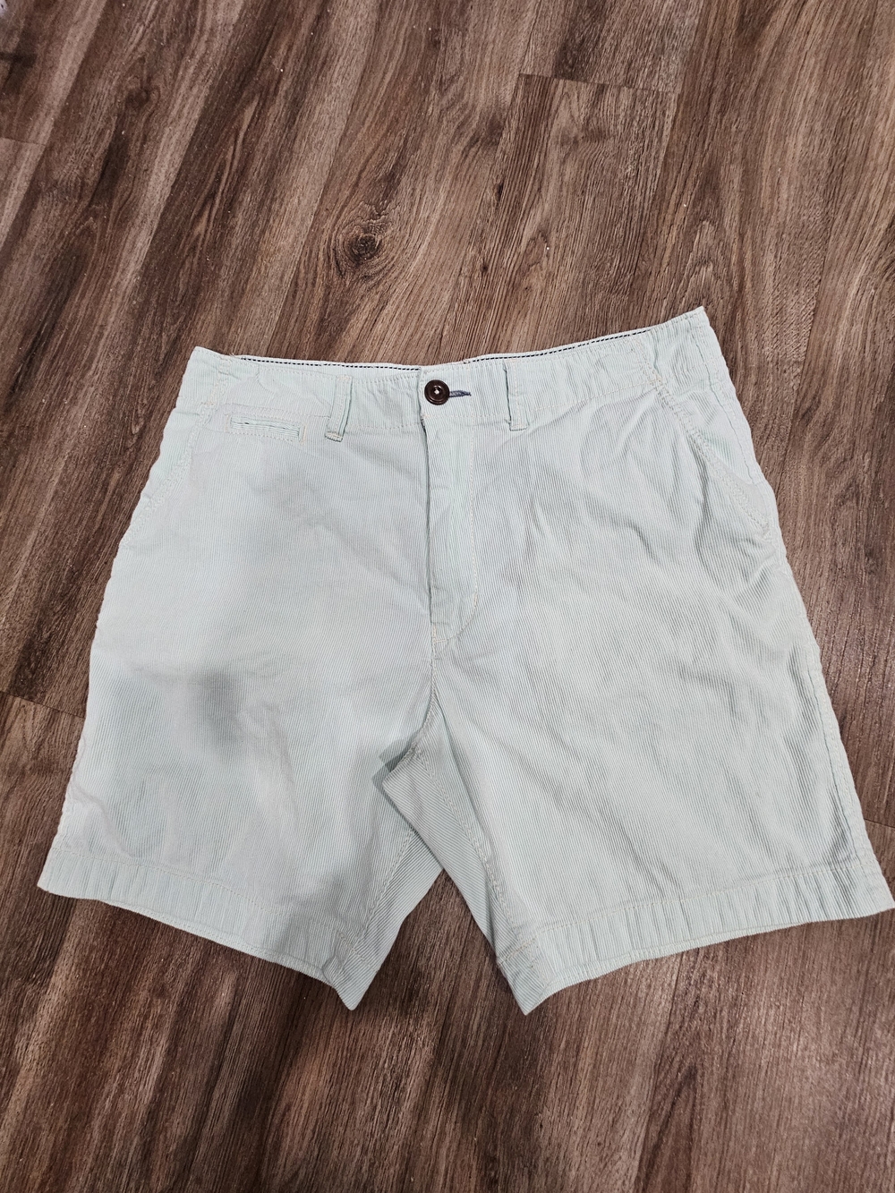 American Eagle Outfitters Mint Green Flat Front Men's Shorts